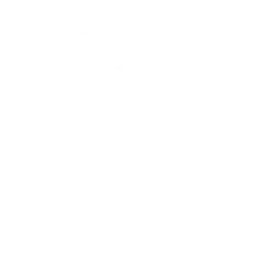 diploma